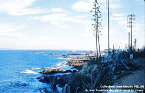 Arzew 190- Pillon